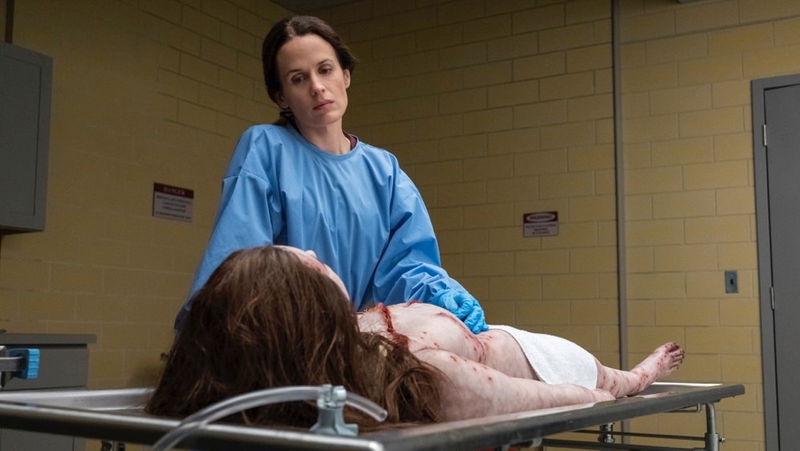 The name of Elizabeth Reaser’s character, Shirley, pays homage to The Haunting of Hill House author Shirley Jackson.